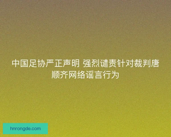 中国足协严正声明 强烈谴责针对裁判唐顺齐网络谣言行为
