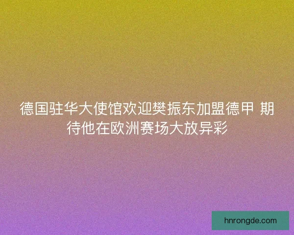 德国驻华大使馆欢迎樊振东加盟德甲 期待他在欧洲赛场大放异彩
